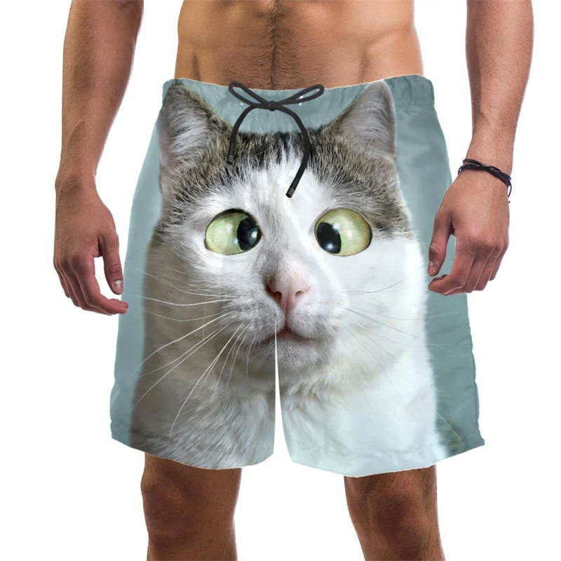 Summer Vacation Clothing Men - Celana pendek pantai kucing lucu motif