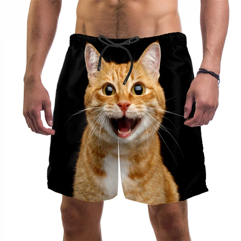 Celana pendek pantai kucing lu - Summer Vacation Clothing Men ulasan dan harga
